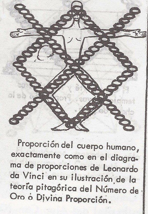 canamayte_proporcion_humana